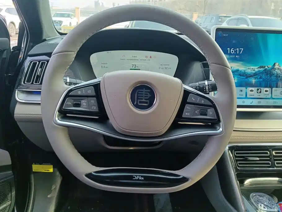 BYD Tang New Energy 2025 DM-i 115KM Flagship фото 15