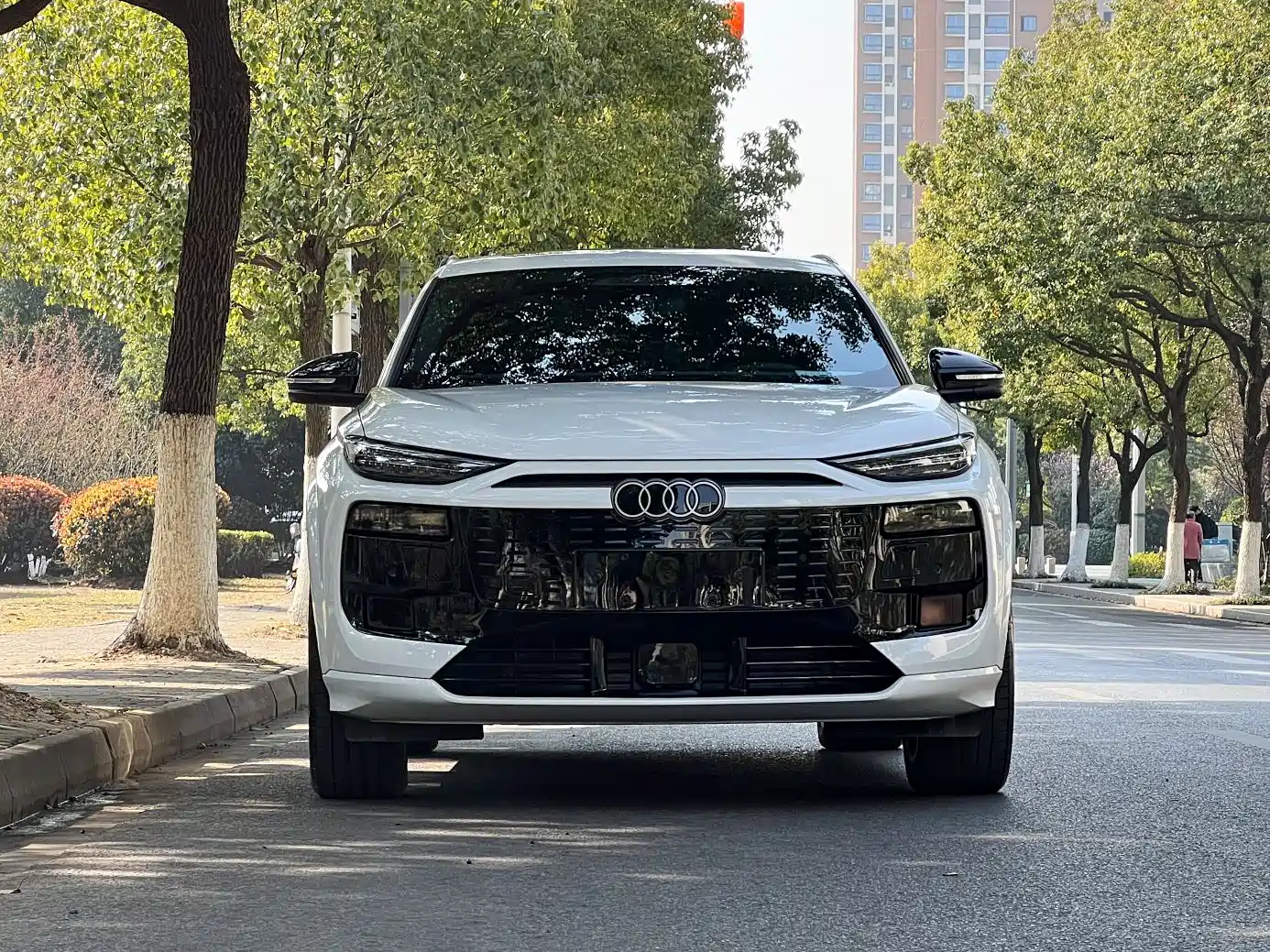 AUDI Q6L E TRON