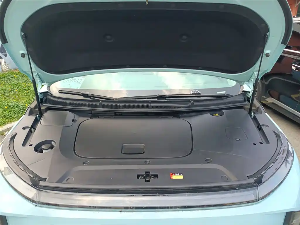 SAIC Maxus Dajia 9 2022 Long Range Alpine 6-Seater фото 22