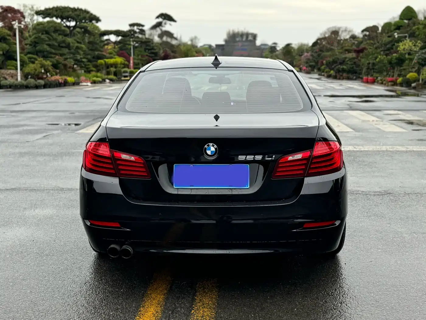 BMW 5 Series 2014 525Li Leading фото 11