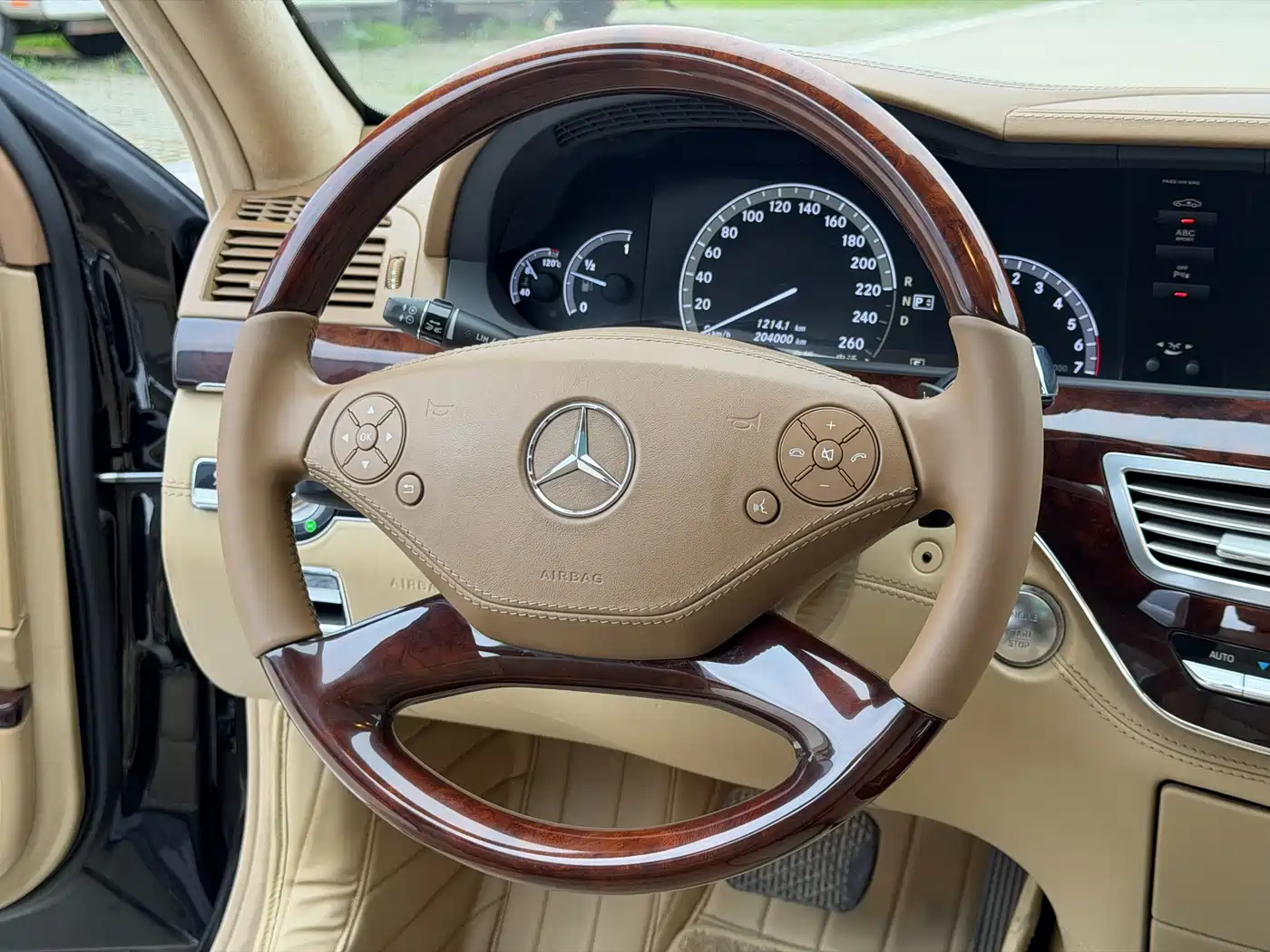 Mercedes-Benz S-Class 2010 S 600 L фото 13