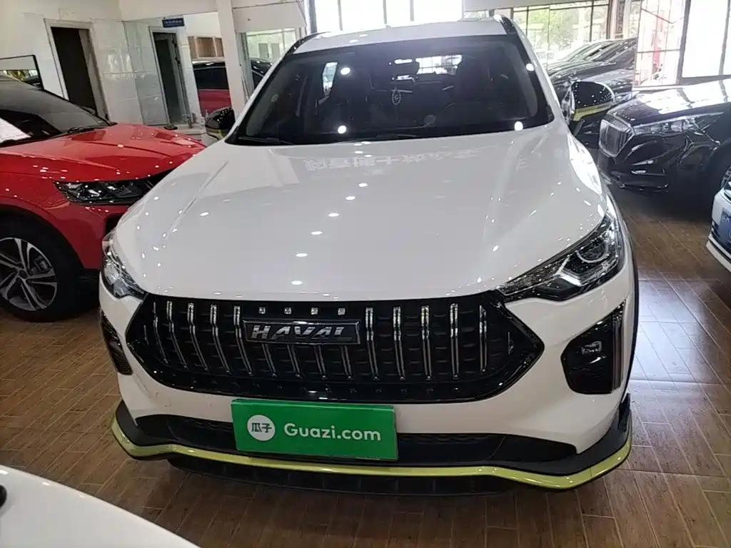 Haval Chitu 2023 2021 1.5T Silver Rabbit Turbo Edition