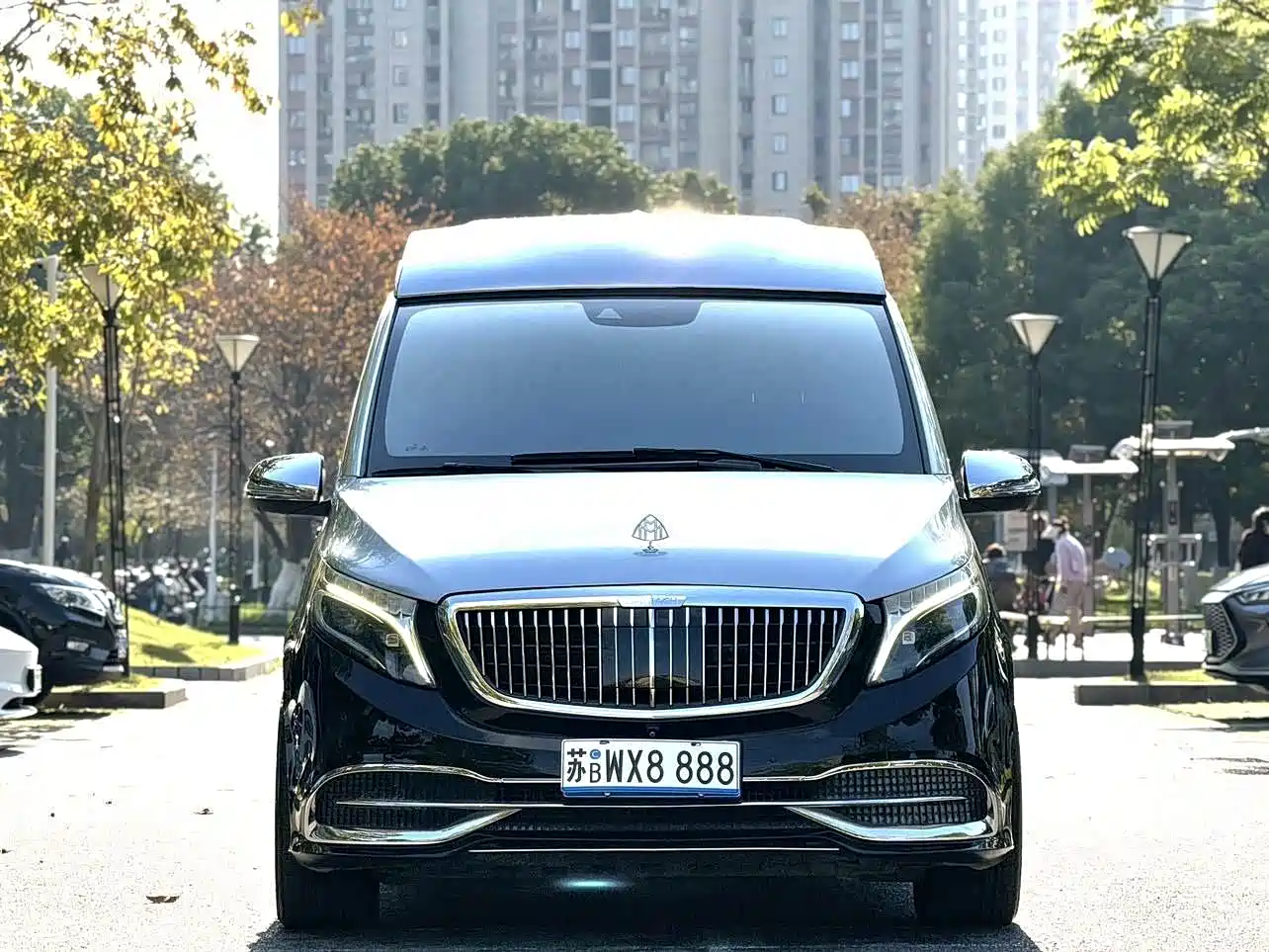 Mercedes-Benz V-Class 2018 V 260 L Premium Long Version China V фото 17
