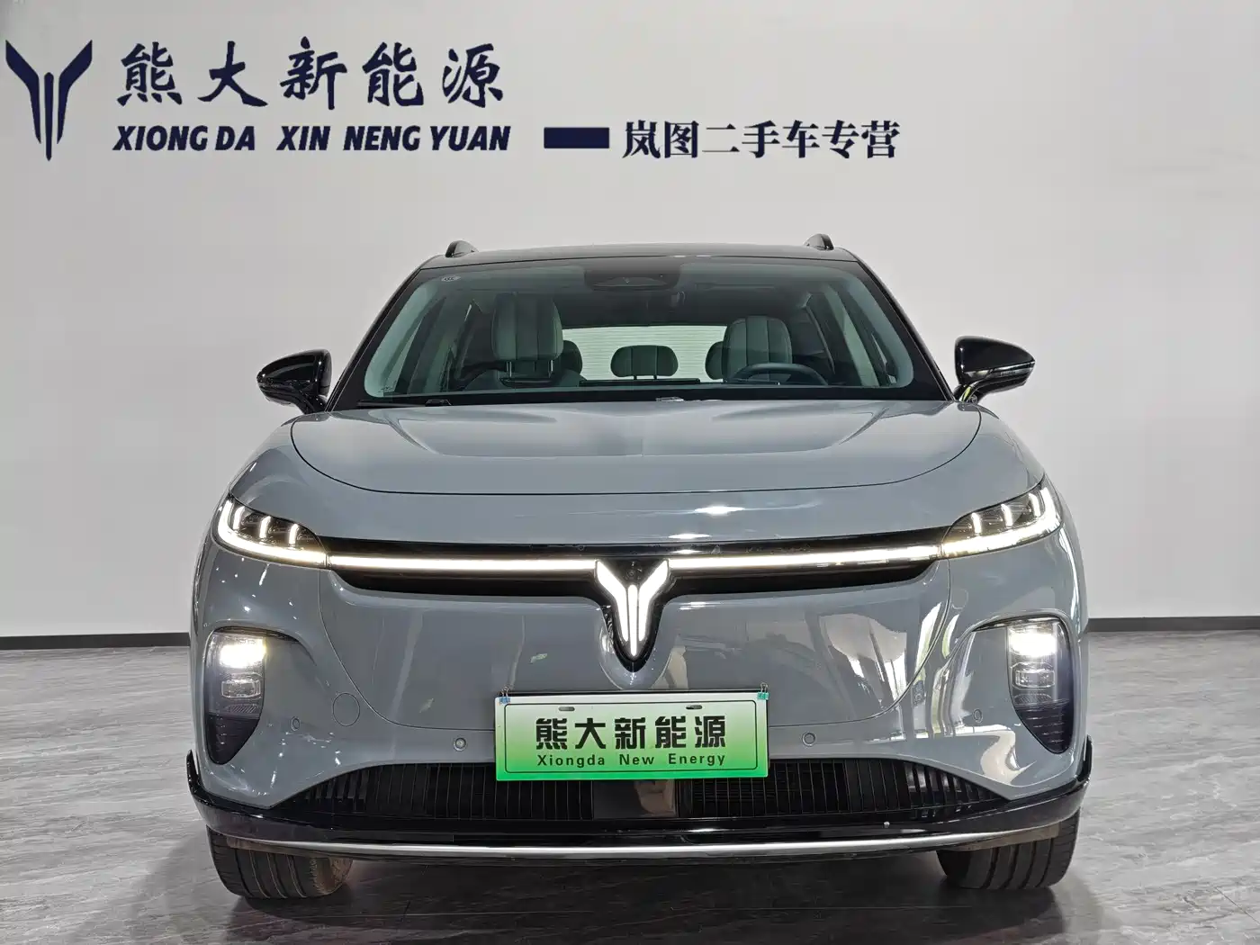 Voyah Auto Voyah Zhiyin 2024 Long Range Smart Edition фото 2
