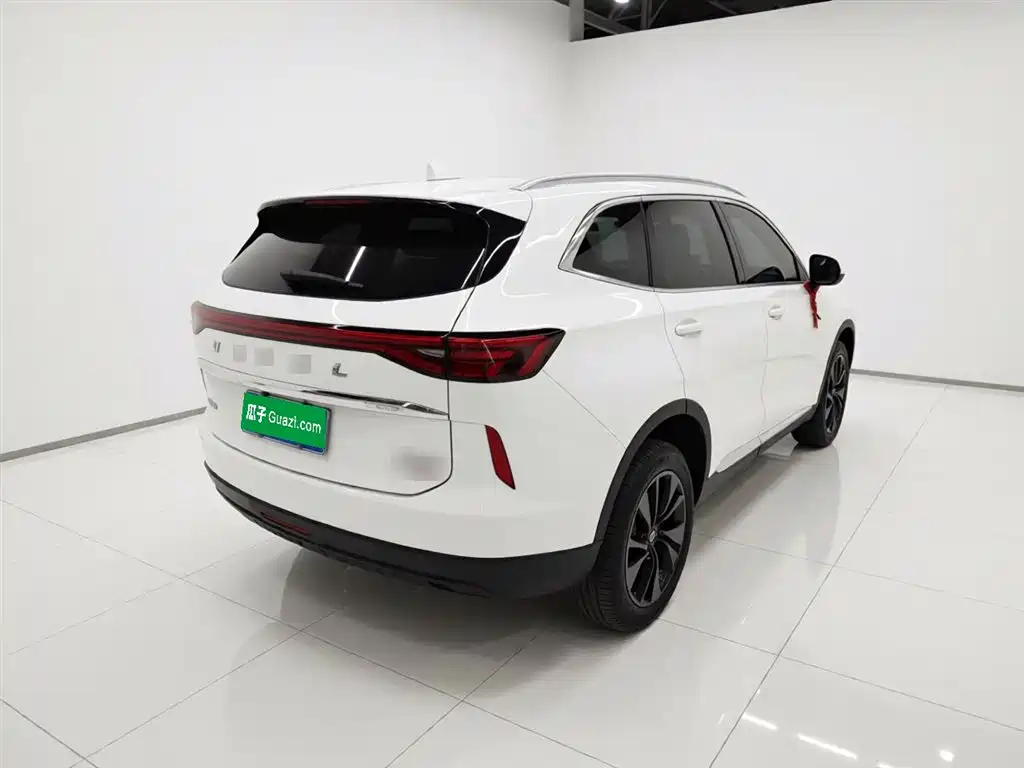 Haval H6 2021 3rd Generation 2.0T Auto 2WD Max фото 7