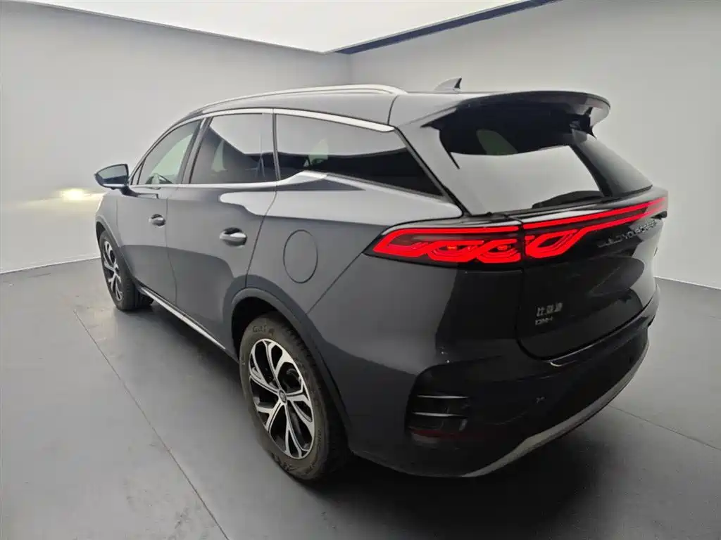 BYD Tang New Energy 2025 DM-i 115KM Cloud Chariot Flagship фото 5