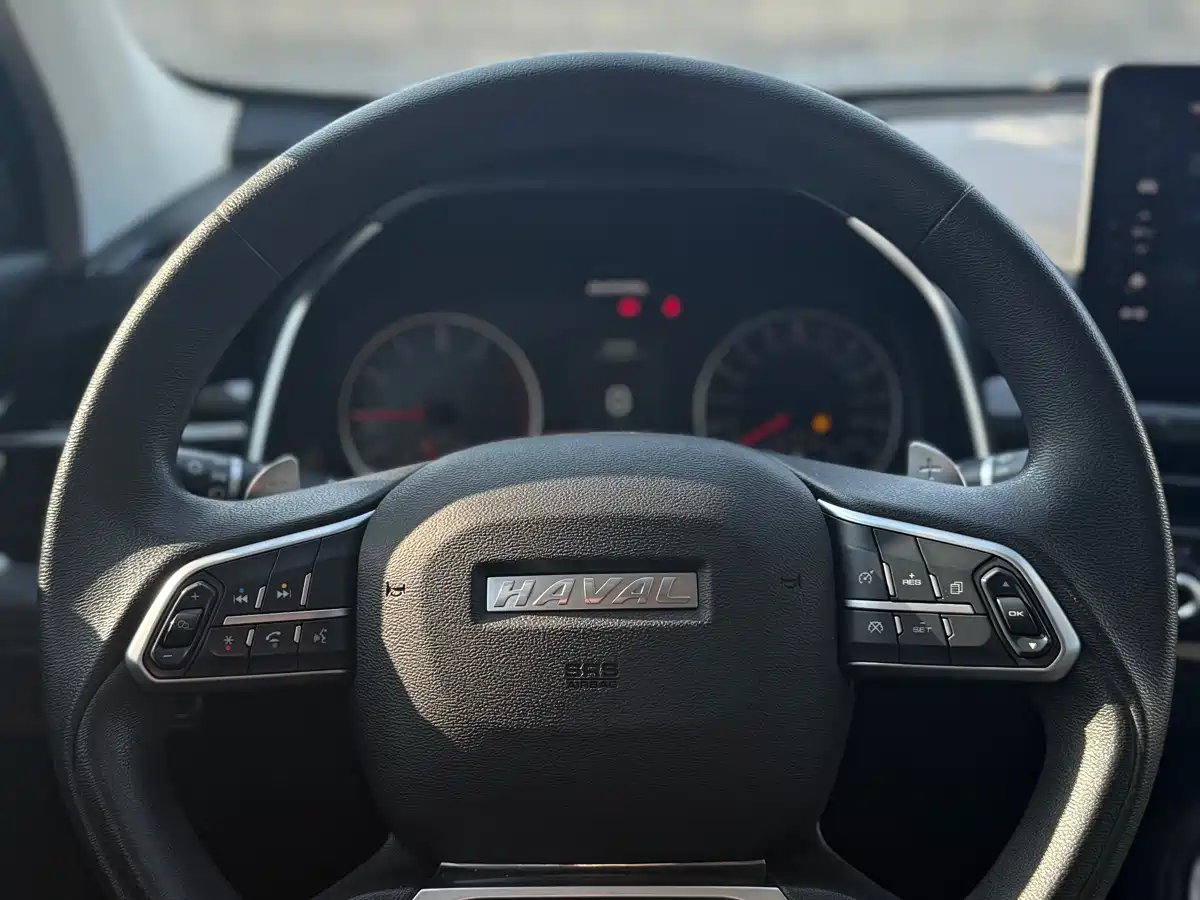 Haval H6 2023 National Trend Edition 1.5T Automatic Urban фото 13