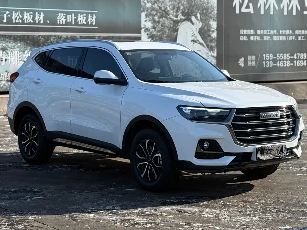 Haval H6 2023 National Trend Edition 1.5T Automatic Urban фото 25