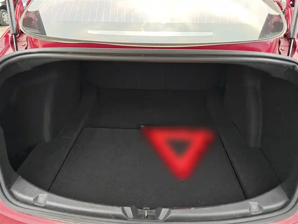 TESLA MODEL 3 (IMPORTED)
