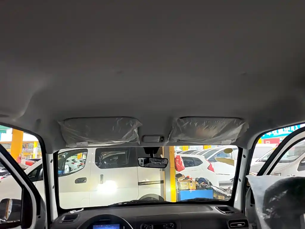 Wuling Motors Wuling Zhiguang NEV 2026 2025 Model 305km Base Version
