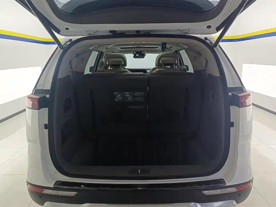 Kia Carnival 2021 2.0T Flagship Edition фото 4