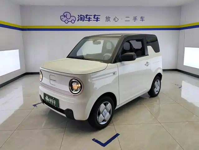 Geely Galaxy Panda 2024