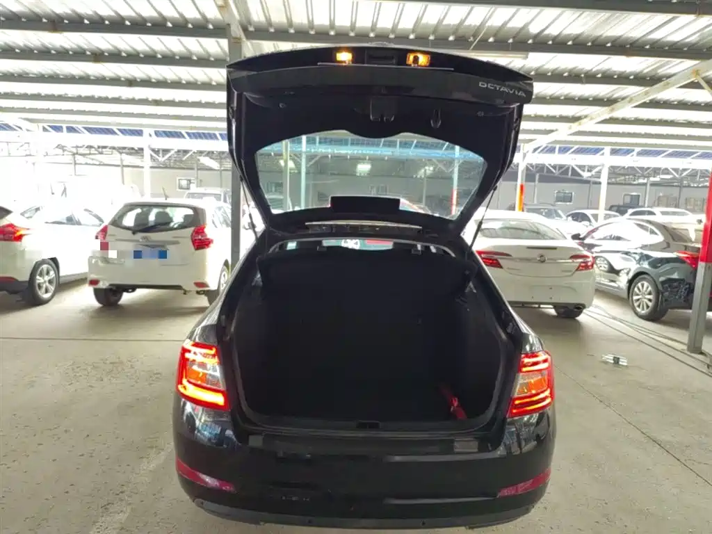 Škoda Octavia 2015 1.6L Automatic逸杰版 фото 15