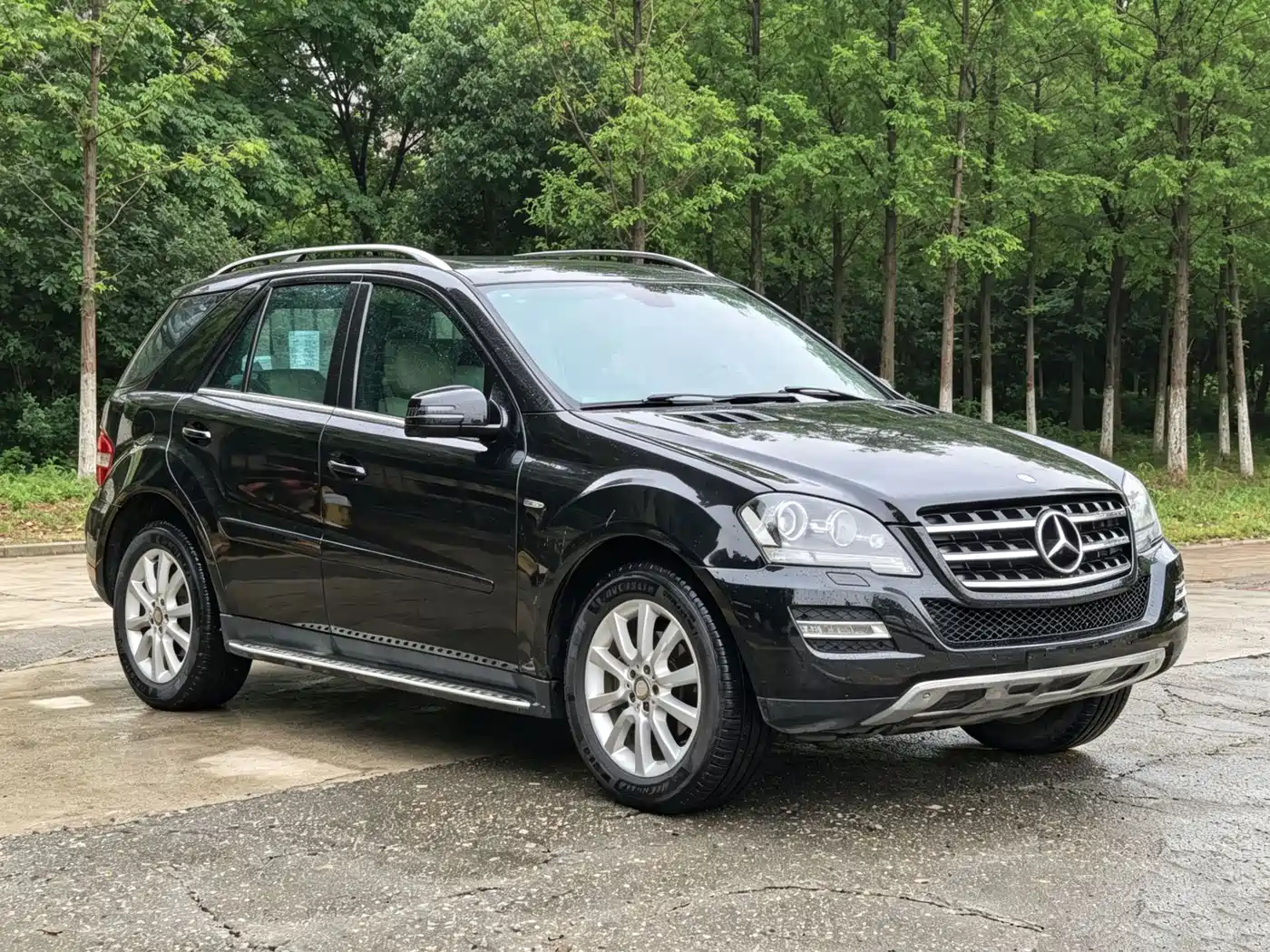 Mercedes-Benz M-Class 2010 ML 350 4MATIC Luxury фото 8