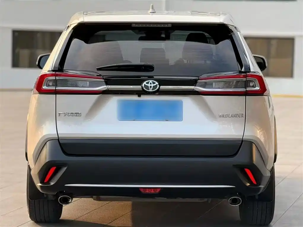 Toyota Wildlander 2020 2.0L CVT 2WD Luxury Edition фото 10