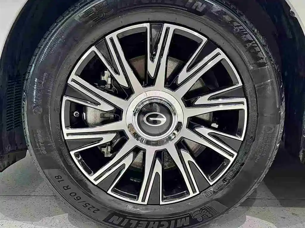 GAC Trumpchi Trumpchi E9 2023 E9 PRO фото 31