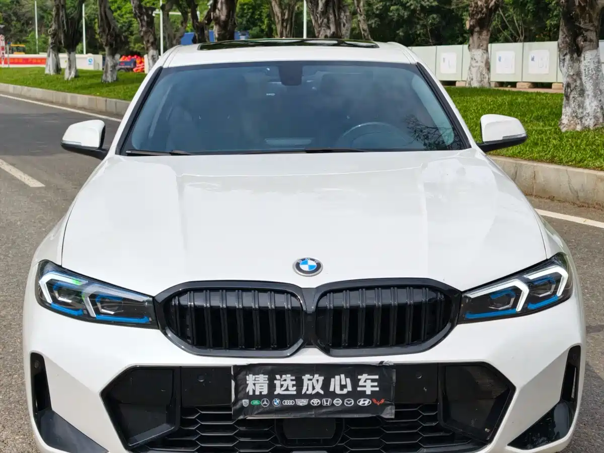 BMW 3 Series 2017 320Li Fashion фото 2