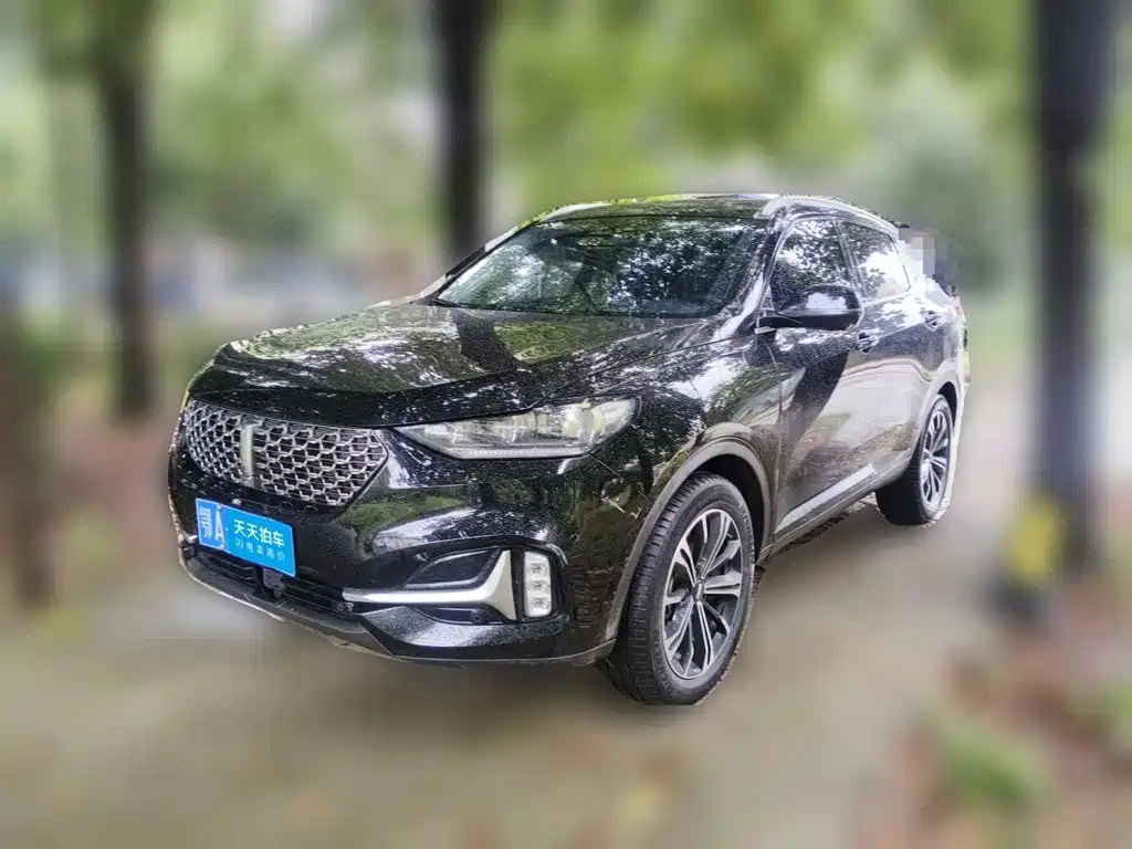 2021 WEY VV6