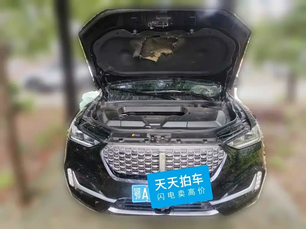 2021 WEY VV6