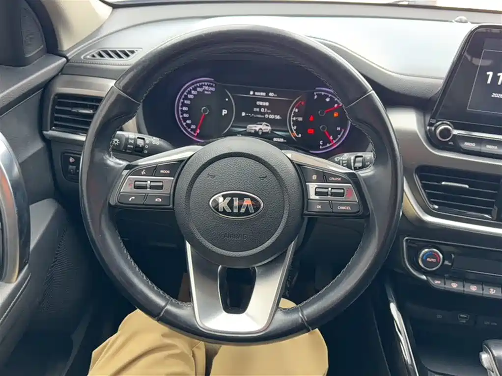 Kia Sportage 2019 2.0L Automatic Smart Luxury Edition фото 3