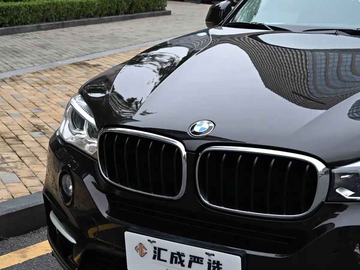 BMW X5 (Import) 2014 xDrive35i Elegance фото 9