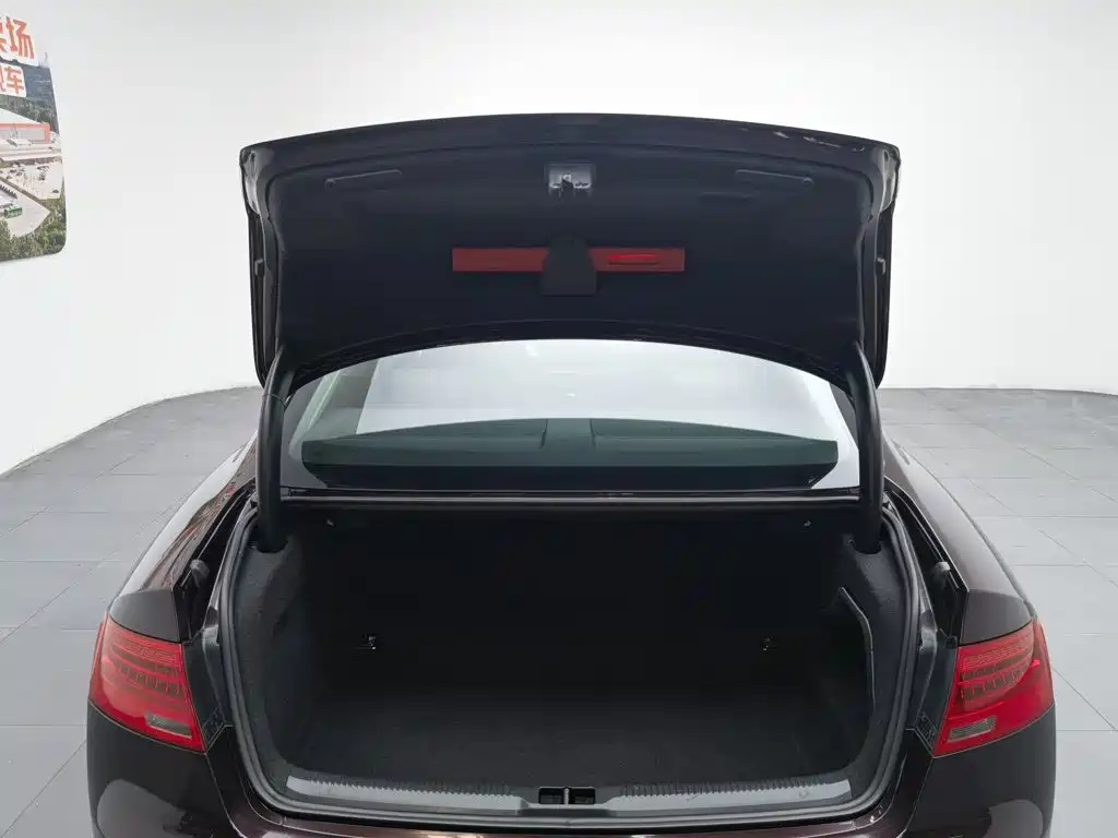 Фото 16 - Audi A5 (Import)