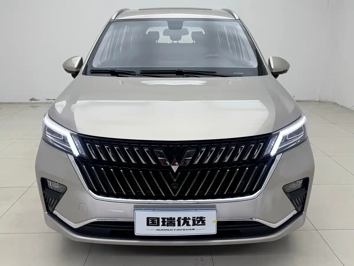 Wuling Motors Wuling Jiachen 2022 2022 1.5T CVT Exclusive Flagship Model