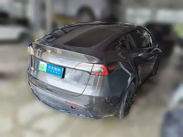 Tesla Model Y 2024 Rear-Wheel Drive Version — фото 5