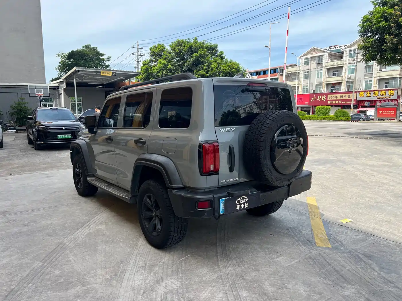 Tank 300 2021 2021 Off-road Version 2.0T Conqueror
