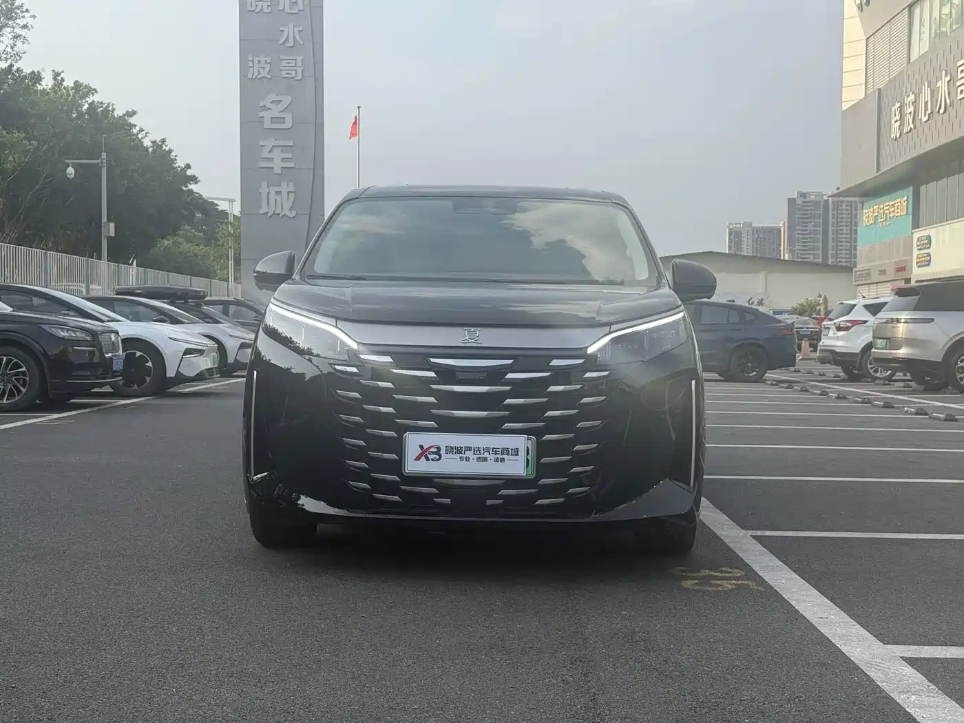 BYD Xia 2025 2025 DM-i 1.5T 100km Surpass Edition