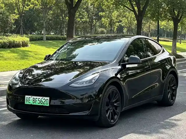 Tesla Model Y Задний привод
