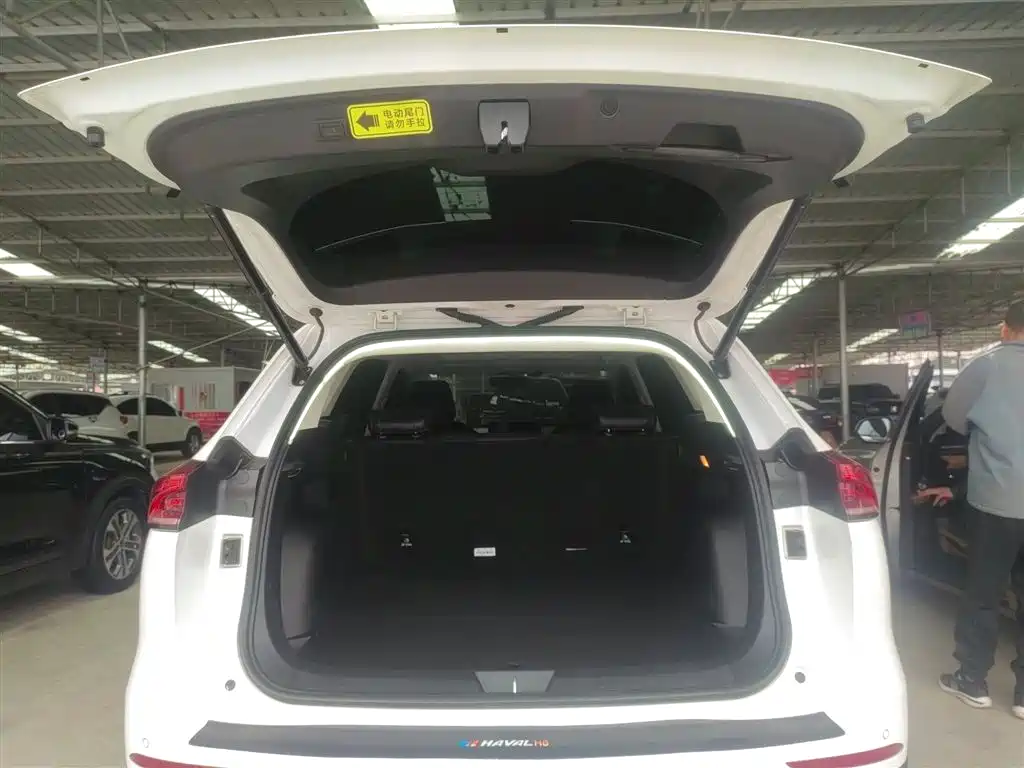 Haval H6 2023 National Trend Edition 1.5T Automatic Urban фото 19