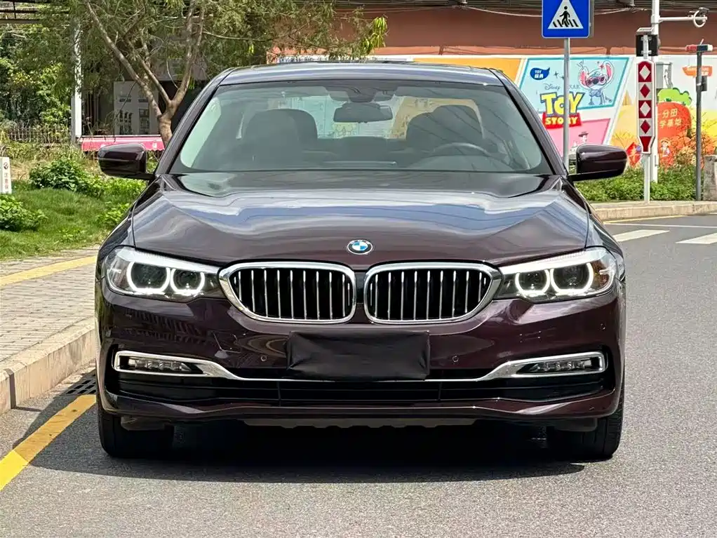 BMW 5 Series 2018 Facelift 530Li Leading Luxury Package фото 2