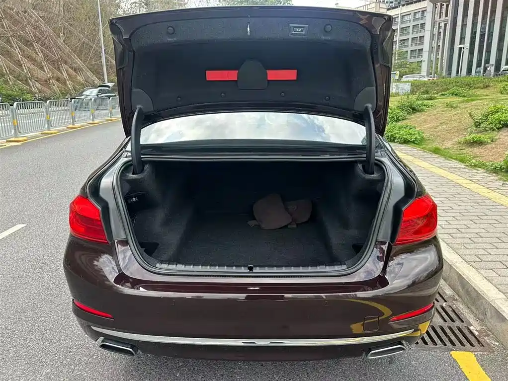 BMW 5 Series 2018 Facelift 530Li Leading Luxury Package фото 15