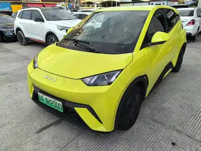 BYD Seagull