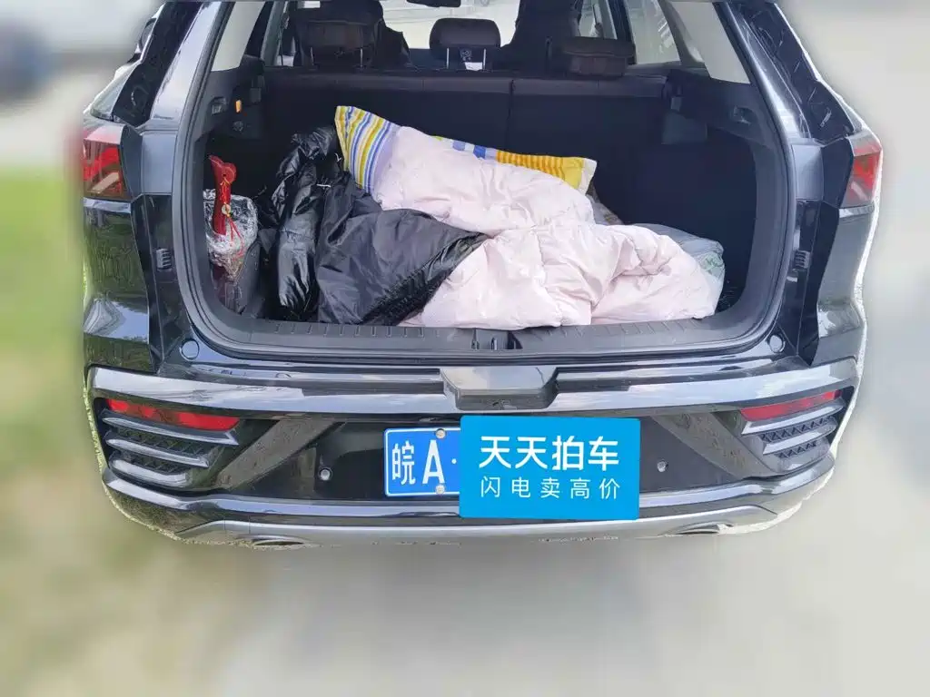 Sehol QX 2021 2021 300T DCT Premium Smart Connect