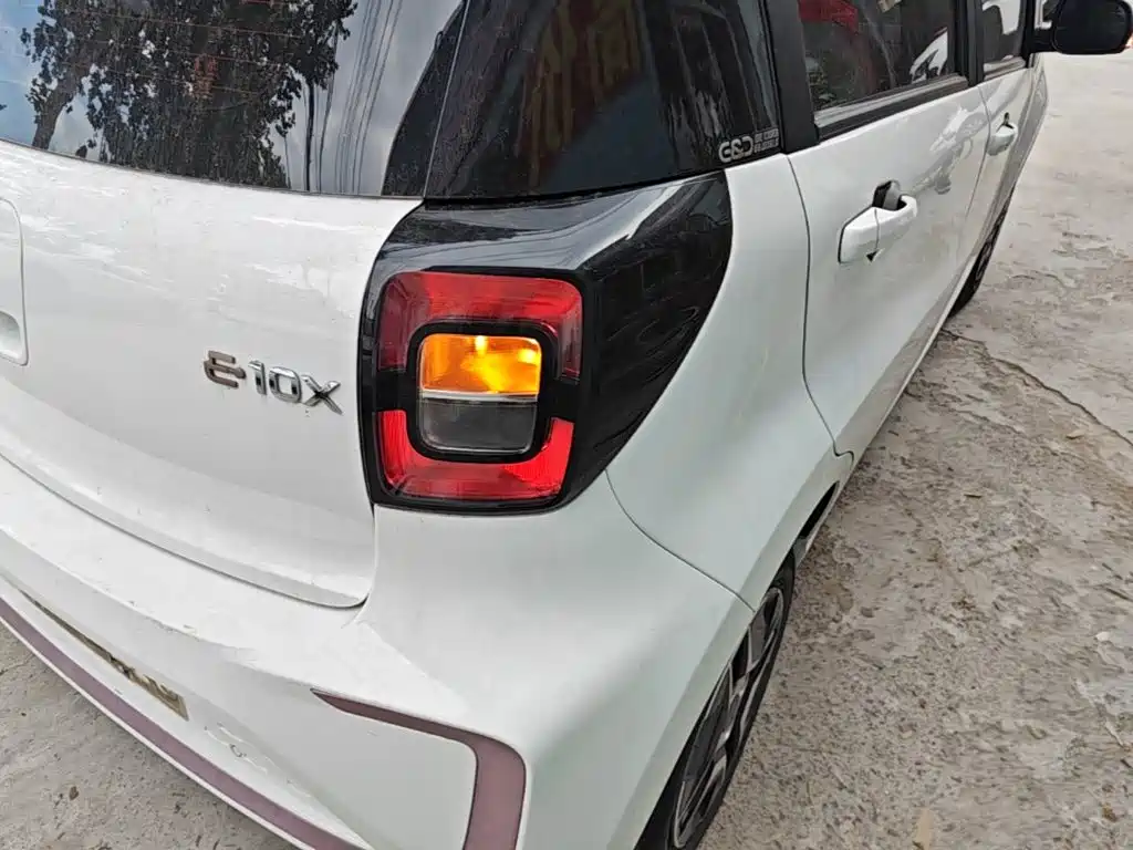 Sehol Flower Fairy 2022 2021 302km Fashion Edition 31.4kWh