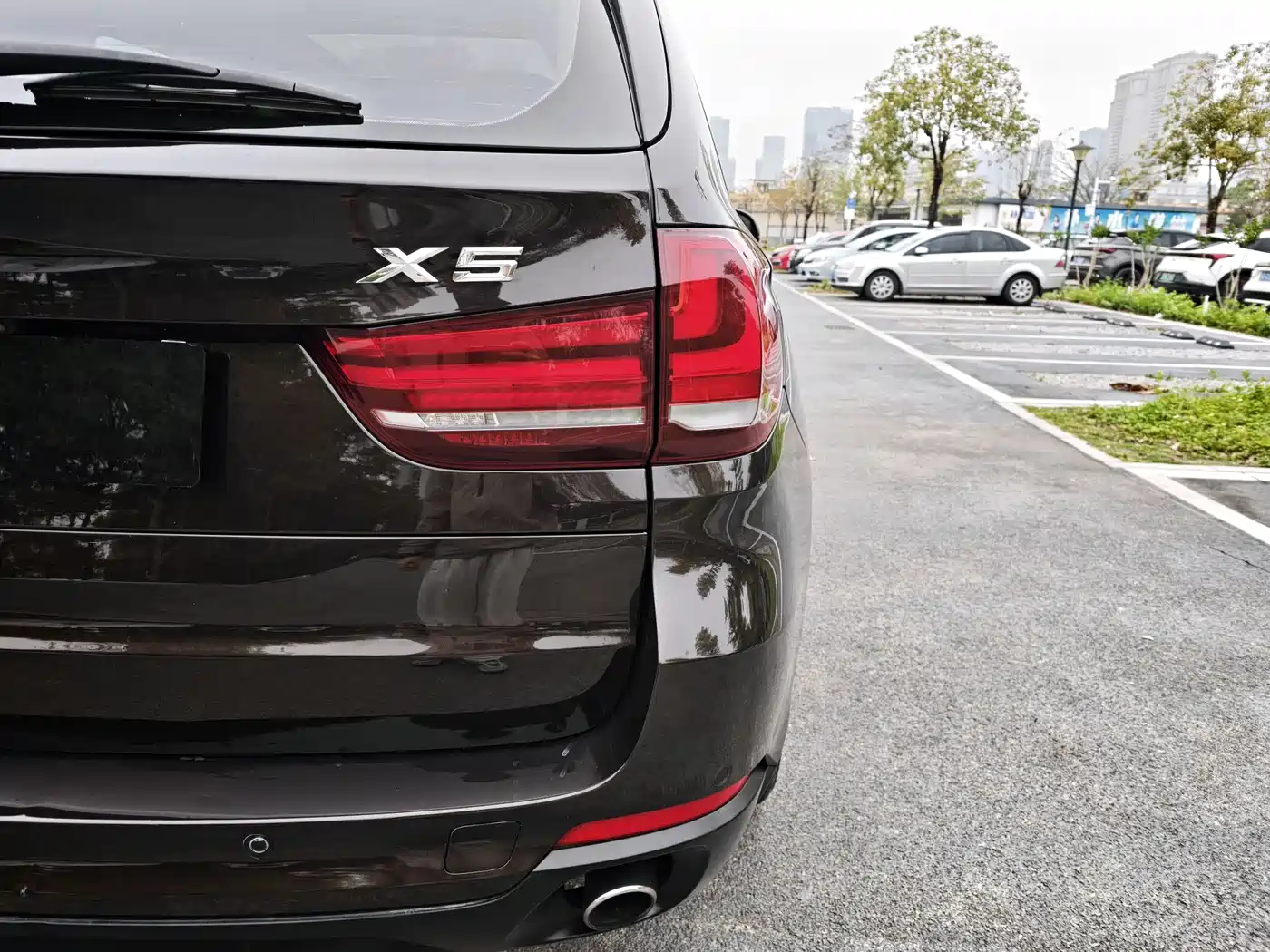 BMW X5 (Import) 2014 xDrive35i Elegance фото 21