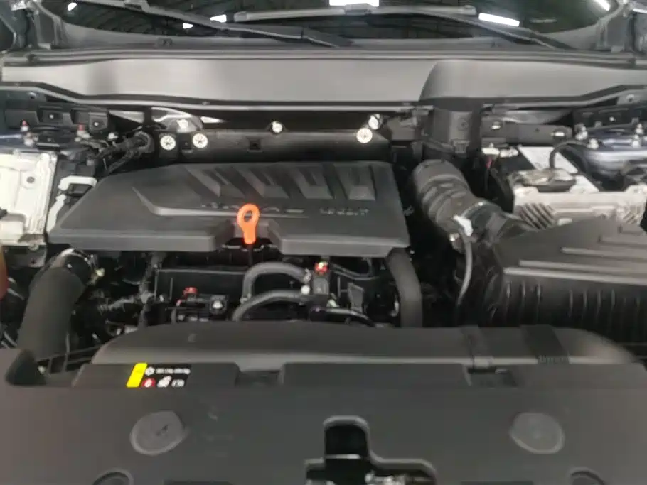 Haval Big Dog 2021 1.5T DCT 2WD Labrador Edition фото 10
