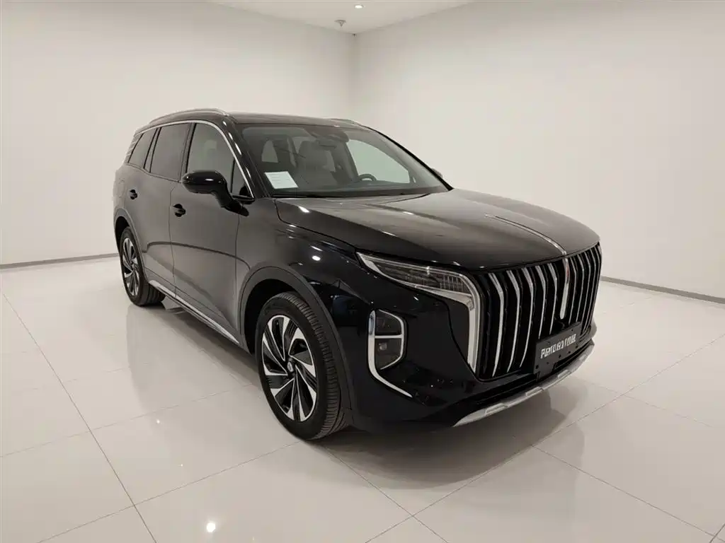 Hongqi HS7 PHEV 2024 2.0T PHEV 4WD Flagship Edition 6-seater фото 22