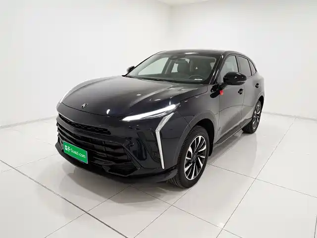 Dongfeng Fengxing Fengxing T5 EVO 2024 1.5TD DCT Starry Sky Edition