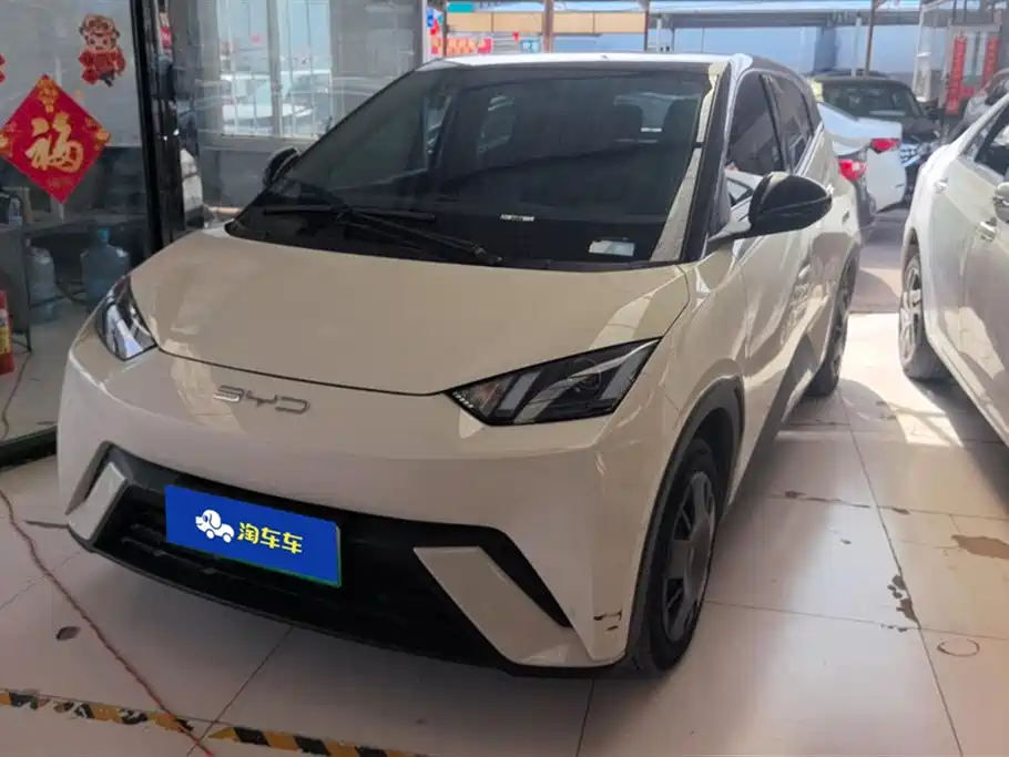 BYD Seagull 2023 Vitality Edition