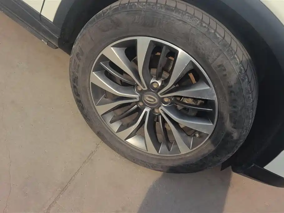 GAC Trumpchi Trumpchi GS8 2019 390T 2WD Luxury Smart Connect Edition (7-seater) фото 6