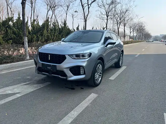 WEI PAI WEI BRAND VV5