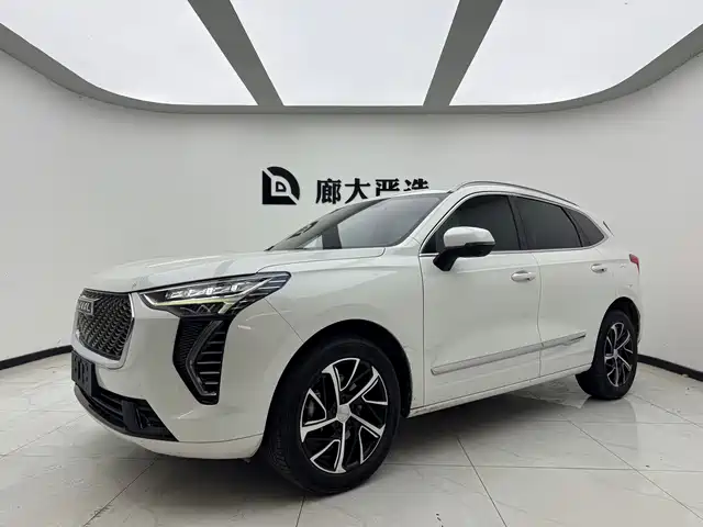  Haval Haval First Love 2021 1.5T Automatic Junior Edition