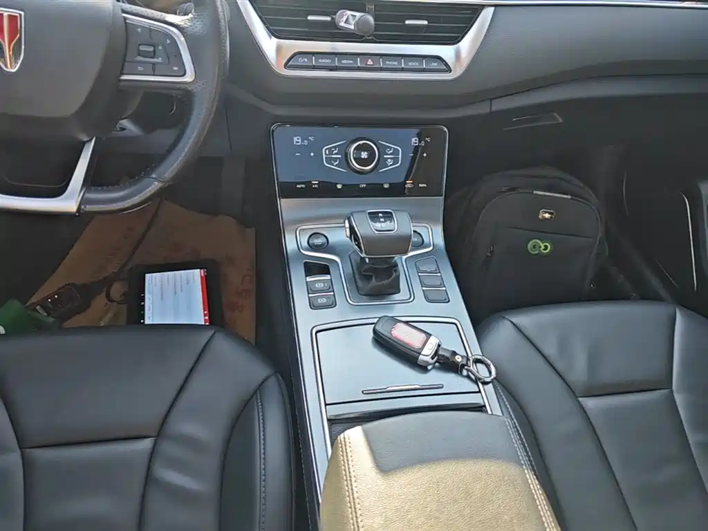 Hongqi H5 2022 Classic Facelift 1.8T Automatic Smart Connect Flag Rhythm Edition фото 14