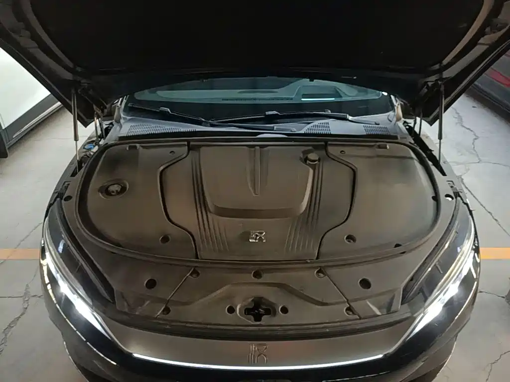 Фото 20 - BYD Han