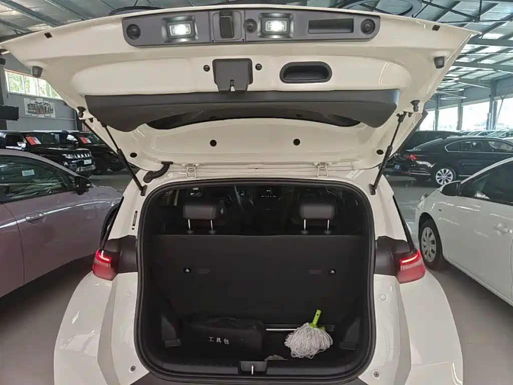 BYD Seagull 2024 Glory Edition 305km Freedom Edition фото 19