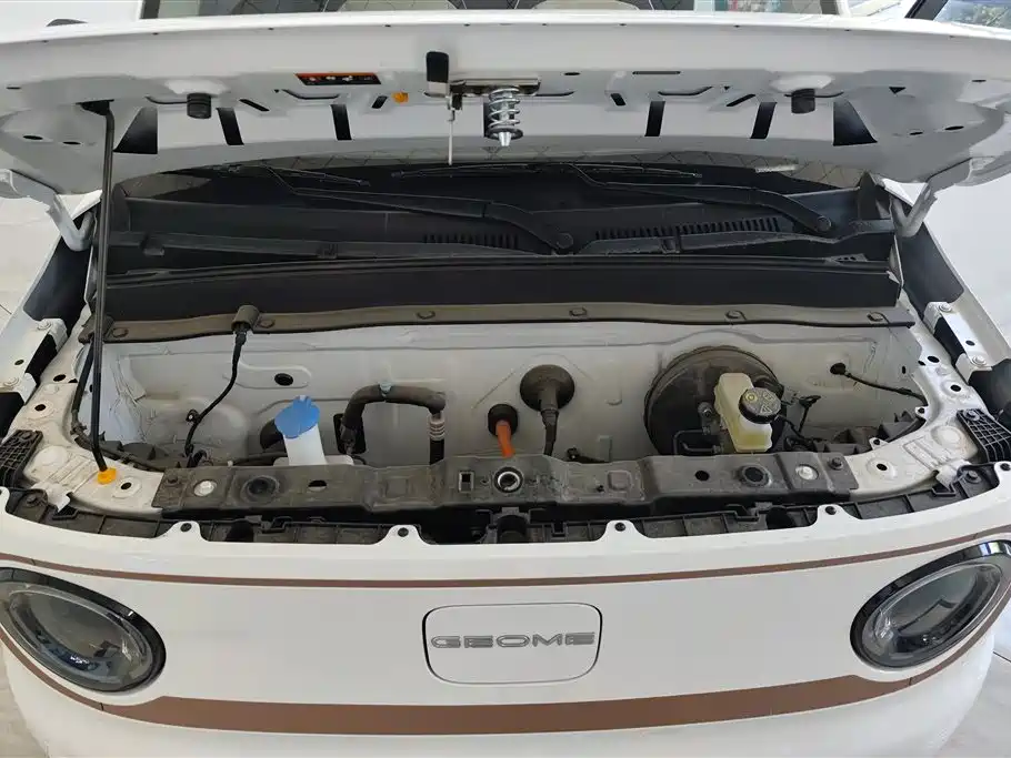 Geely Galaxy Panda 2024 Panda mini 200km Endurance Bear фото 10
