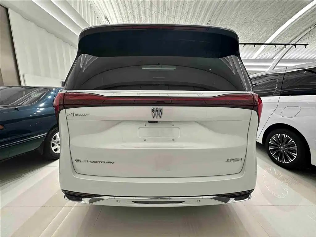 Buick Century 2023 2.0T 6-Seat World Edition фото 19